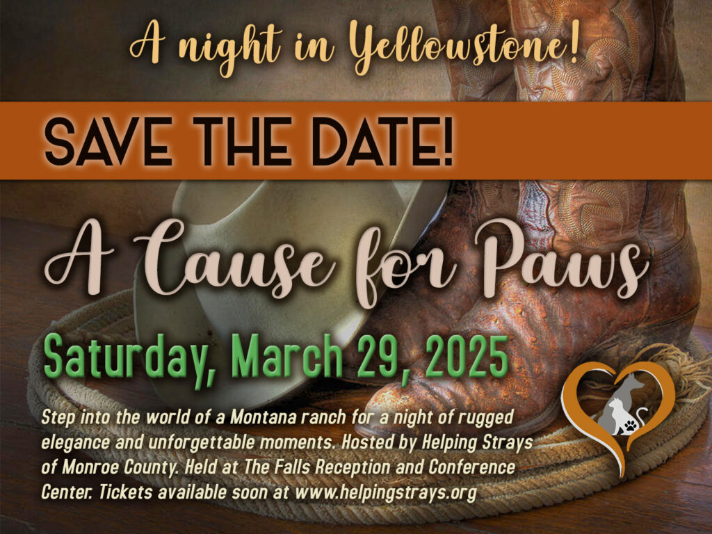 a cause for paws event flyer